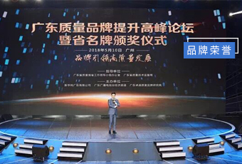 坚守品质19年，九游在线客服,集团蝉联广东省名牌产品！